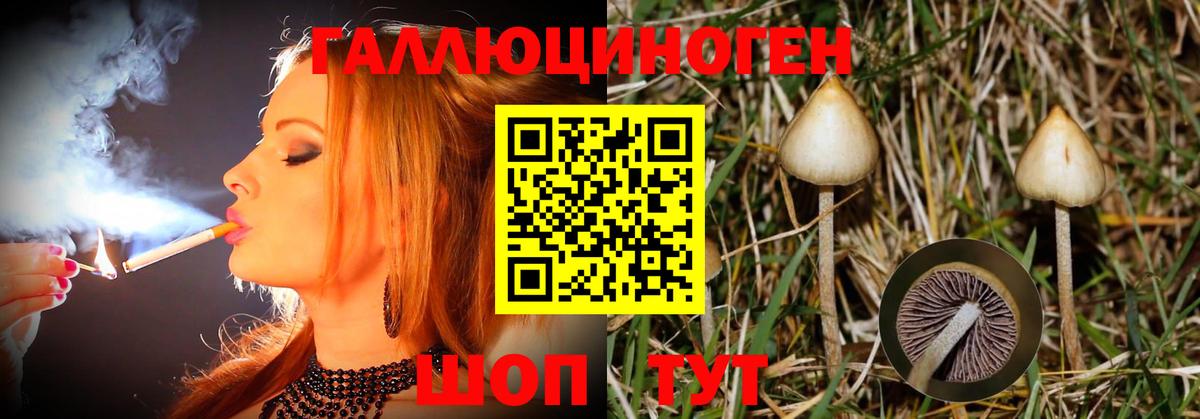 Гатчина  Псилоцибиновые грибы GOLDEN TEACHER  Вход с VPN 